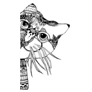 Cat Design
